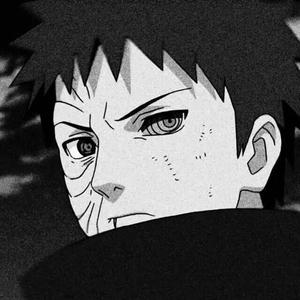 PLAYBOY走光福利视频
